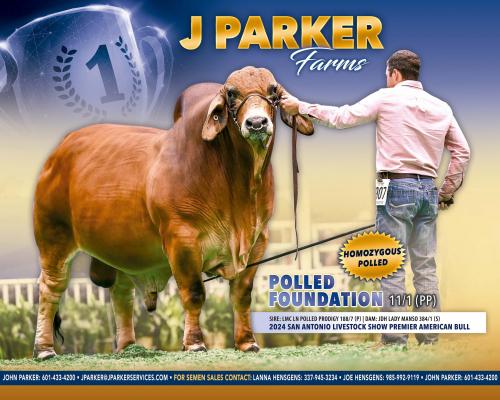 LOT 02 - POLLED FOUNDATION 11/1 (PP)