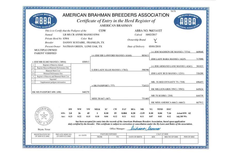 LOT 08 - +TJF SMOKIN GUN 109/7 x LB MS CR ANNIE MANSO 839/4 -3 CONVENTIONAL EMBRYOS