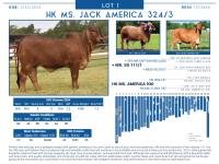 LOT  01 - HK MS. JACK AMERICA 324/3