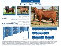 LOT  10 - HK MS. RAY 322/3