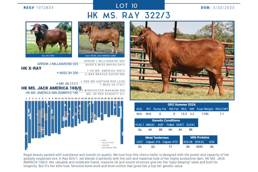 LOT  10 - HK MS. RAY 322/3