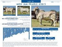 LOT  12 - MISS J&M PEARLE 638/3