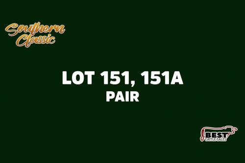 LOT 151, 151A - JAY HOOVER