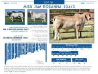 LOT  16 - MISS J&M ROSANNA 634/3