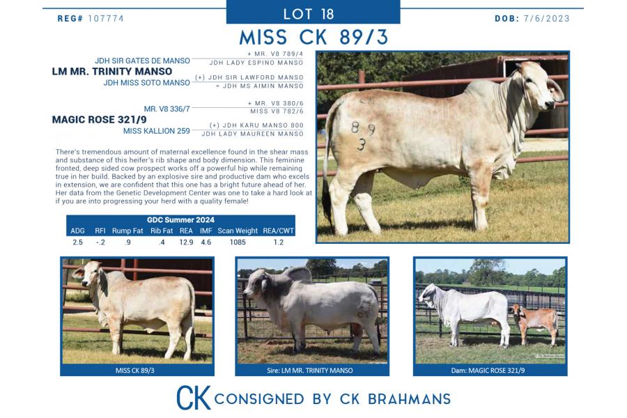 LOT  18 - MISS CK 89/3