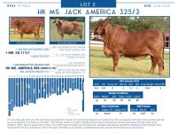 LOT  02 - HK MS. JACK AMERICA 325/3