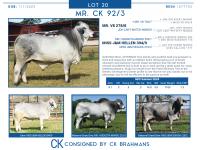 LOT  20 - MR. CK 92/3