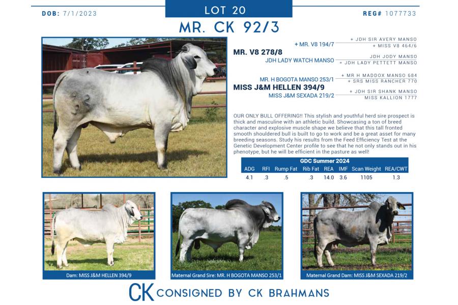 LOT  20 - MR. CK 92/3