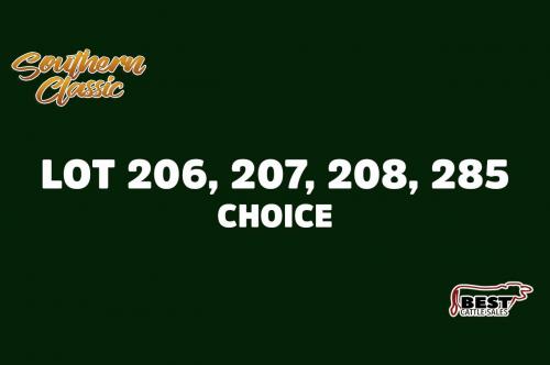 LOT 206, 207, 208, 285 - CLAY ELLISON - CHOICE OR X THE MONEY OF LOTS CHOSEN (A)