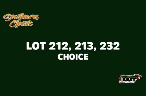 LOT 212, 213, 232 - CLAY ELLISON - CHOICE OR X THE MONEY OF LOTS CHOSEN (B)