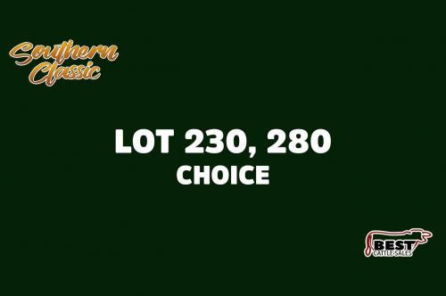 LOT 230, 280 - CLAY ELLISON - CHOICE OR X THE MONEY OF LOTS CHOSEN (B)