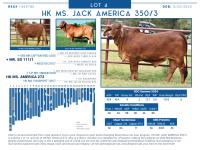 LOT  04 - HK MS. JACK AMERICA 350/3