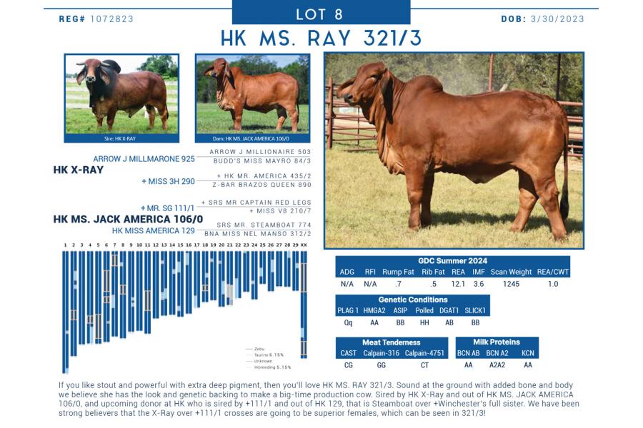 LOT  08 - HK MS. RAY 321/3