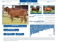 LOT  09 - HK MS. RAY 315/3