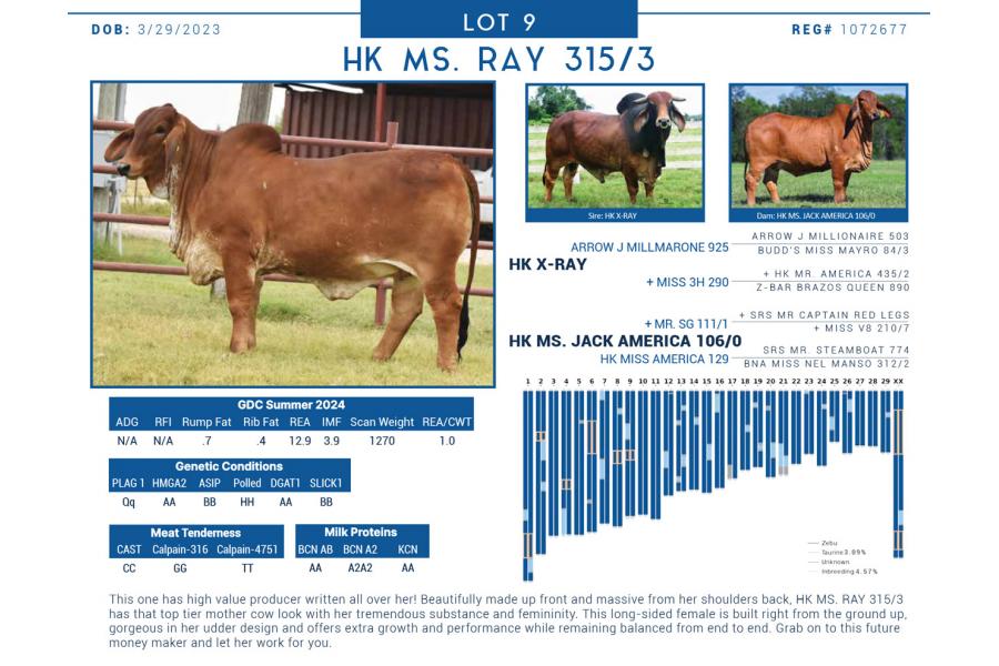 LOT  09 - HK MS. RAY 315/3