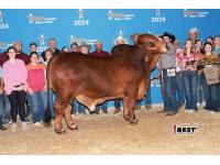 LOT 16 -  MR. FONTENOT 200