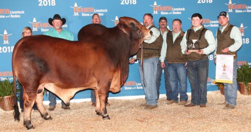 LOT 24 - +MR. CB ROCKY 5/5 - 1 UNIT CONVENTIONAL SEMEN