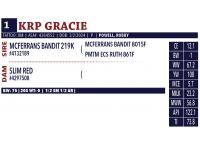 LOT 01 - KRP GRACIE