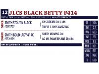 LOT 12 - JLCS BLACK BETTY F414