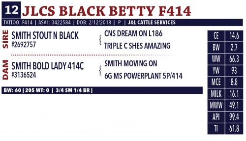 LOT 12 - JLCS BLACK BETTY F414