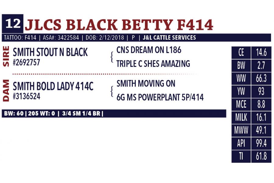 LOT 12 - JLCS BLACK BETTY F414