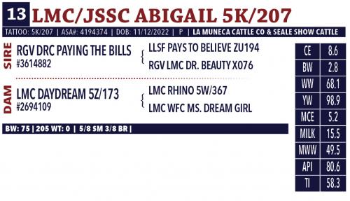 LOT 13 - LMC/JSSC ABIGAIL 5K/207