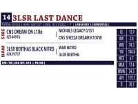 LOT 14 - 3LSR LAST DANCE