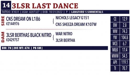 LOT 14 - 3LSR LAST DANCE