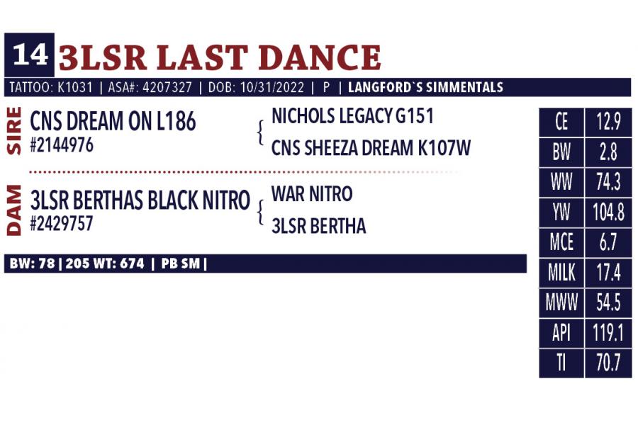 LOT 14 - 3LSR LAST DANCE