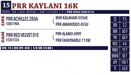 LOT 15 - PRR KAYLANI 16K