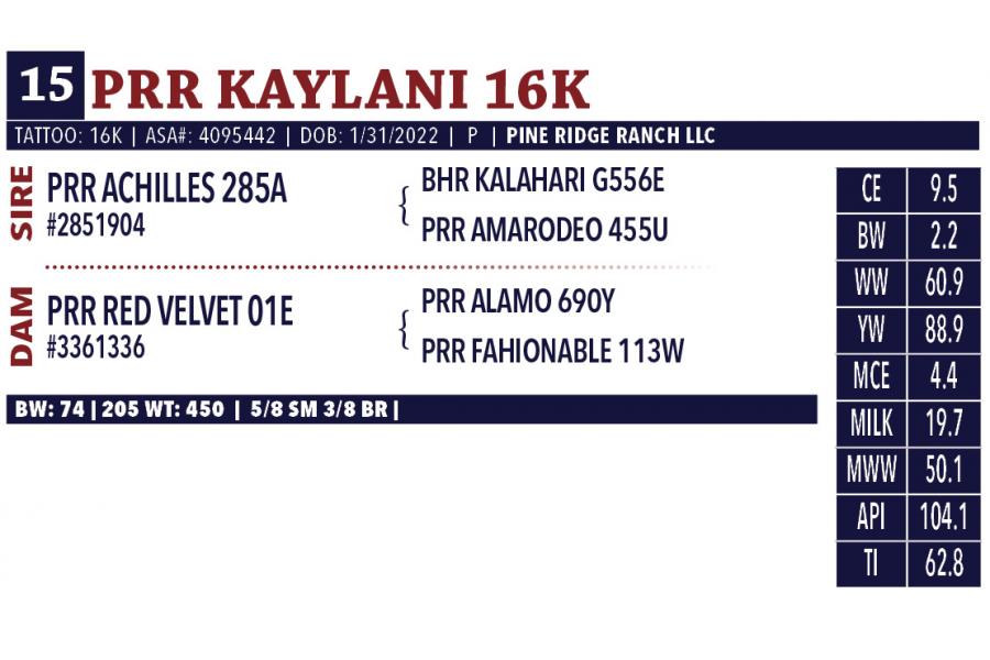 LOT 15 - PRR KAYLANI 16K