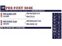 LOT 16 - PRR FOXY 304K