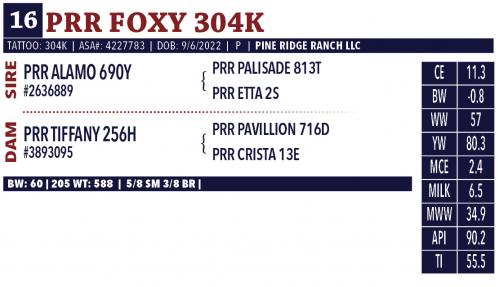 LOT 16 - PRR FOXY 304K