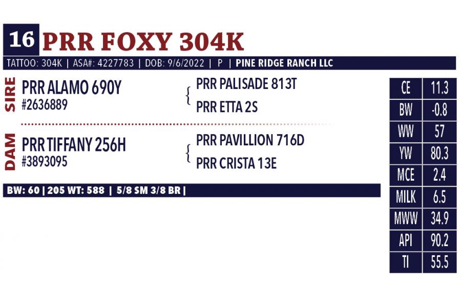 LOT 16 - PRR FOXY 304K