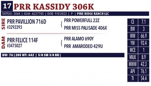 LOT 17 - PRR KASSIDY 306K