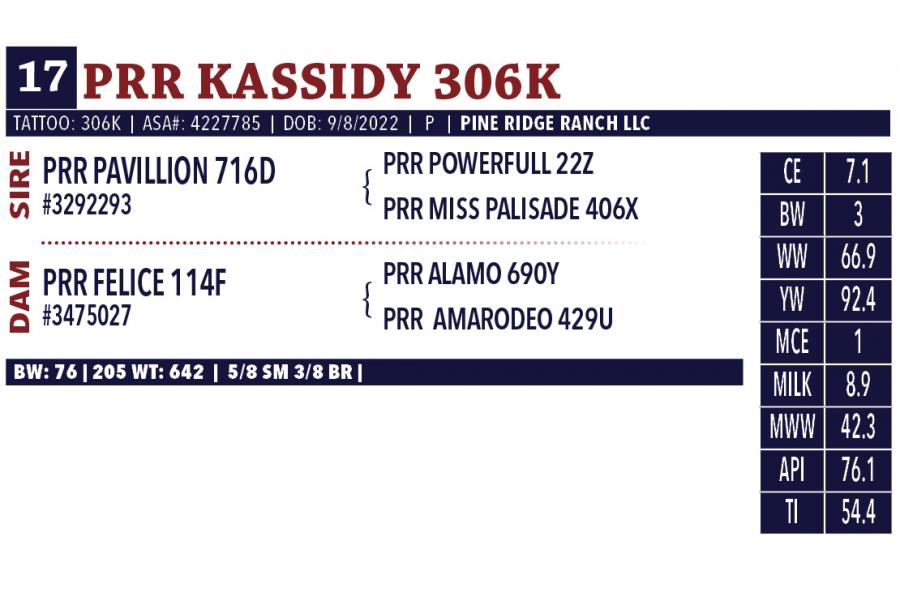 LOT 17 - PRR KASSIDY 306K