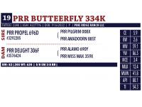 LOT 19 - PRR BUTTEERFLY 334K