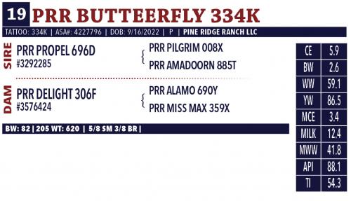 LOT 19 - PRR BUTTEERFLY 334K