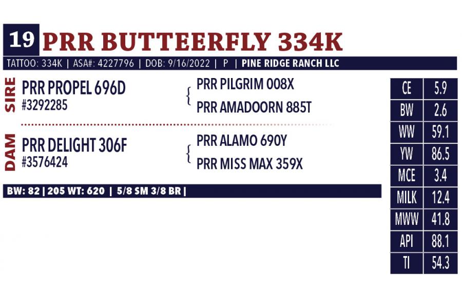 LOT 19 - PRR BUTTEERFLY 334K