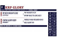 LOT 02 - KRP GLORY