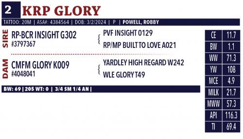 LOT 02 - KRP GLORY