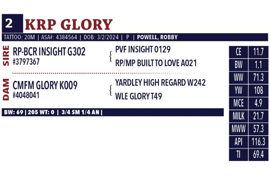 LOT 02 - KRP GLORY