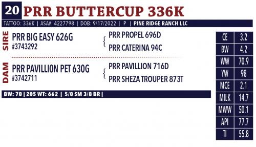 LOT 20 - PRR BUTTERCUP 336K