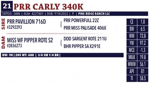 LOT 21 - PRR CARLY 340K