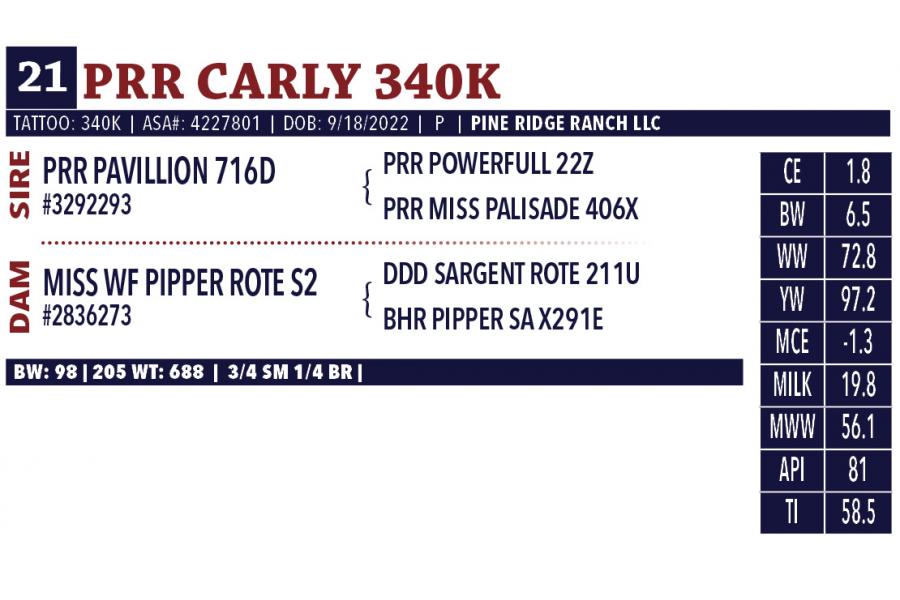 LOT 21 - PRR CARLY 340K