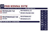 LOT 22 - PRR KENNA 357K