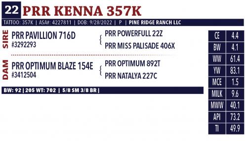 LOT 22 - PRR KENNA 357K