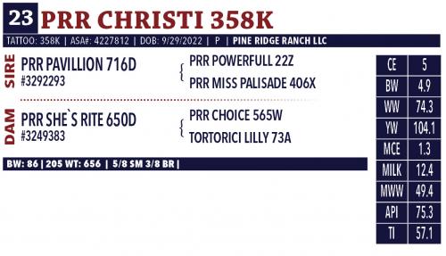 LOT 23 - PRR CHRISTI 358K