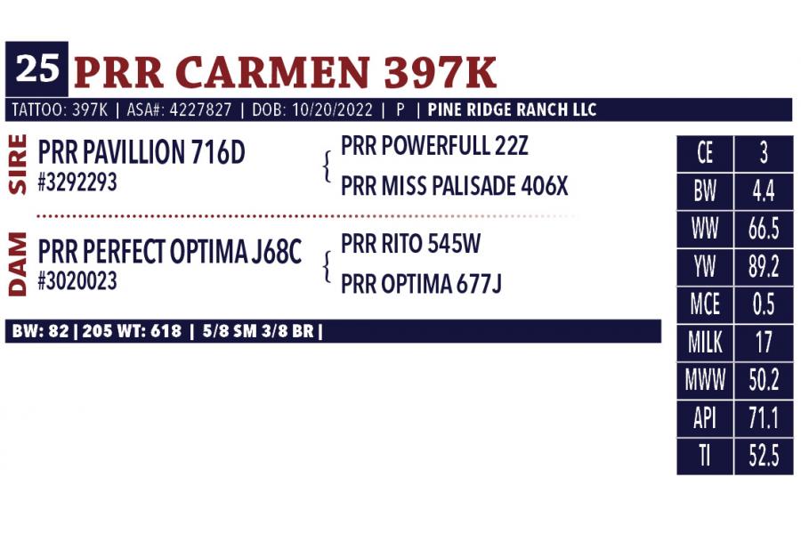 LOT 25 - PRR CARMEN 397K