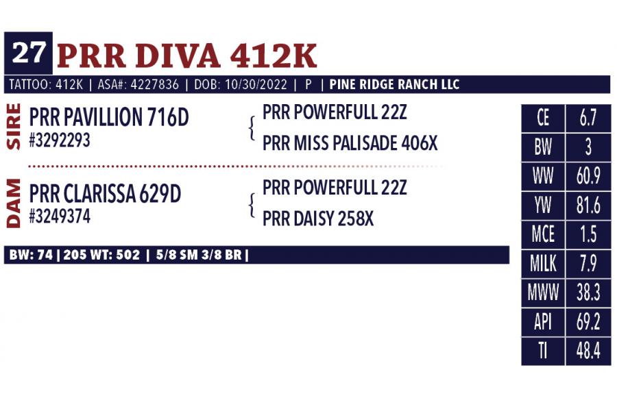 LOT 27 - PRR DIVA 412K